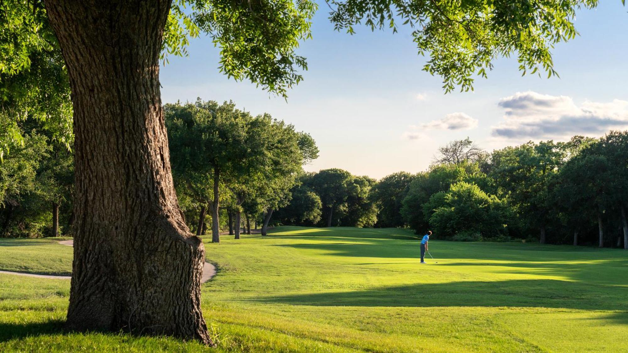 Dallas/Fort Worth Marriott Hotel & Golf Club At Champions Circle Roanoke Luaran gambar